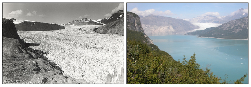 Muir Glacier retreating.