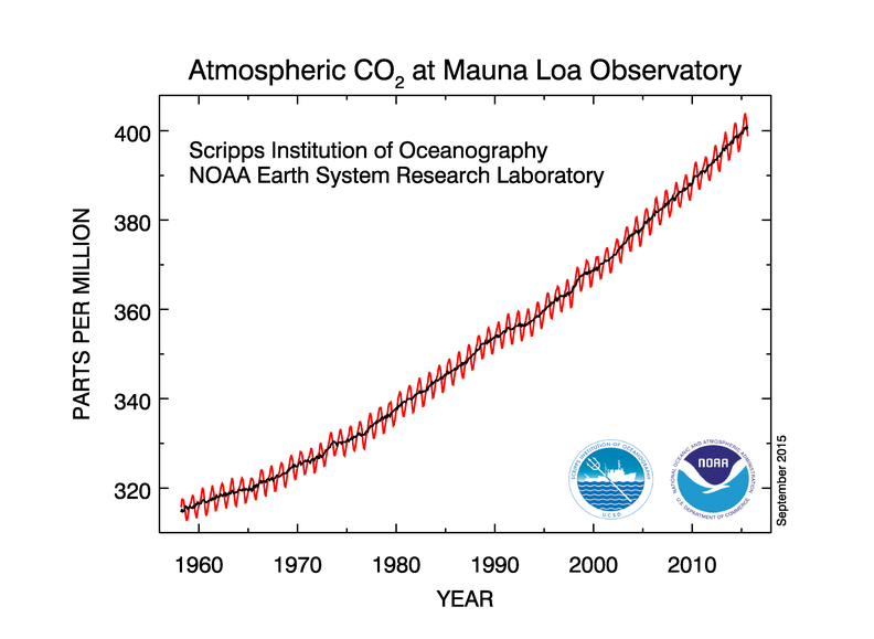 Atmospheric carbon dioxide concentrations, Mauna Loa Observatory.
