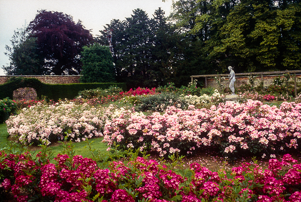 Rose garden at Castle Howard, Northern England.