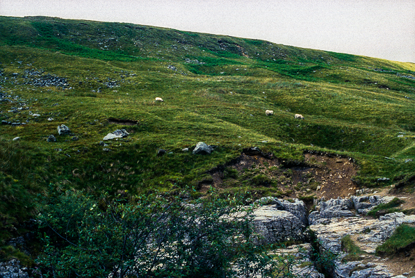 A view in Yorkshire Dales in Northern England.