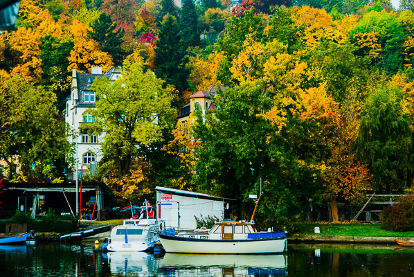 One of many beautiful scenes cruising thr rivers.
