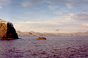 Sea of Cortez boat trip.