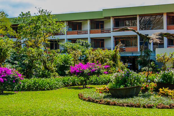 Hotel Boungainvillea from their grounds.