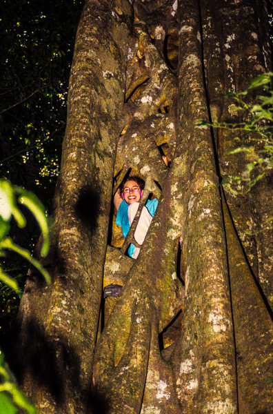 Lady in side a strangler fig tree in Monteverde forest.